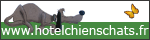 Pension pour Chiens et Chats